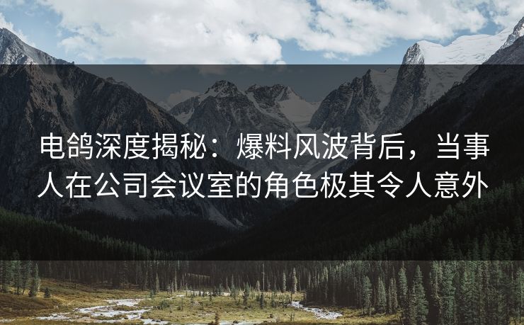 电鸽深度揭秘：爆料风波背后，当事人在公司会议室的角色极其令人意外