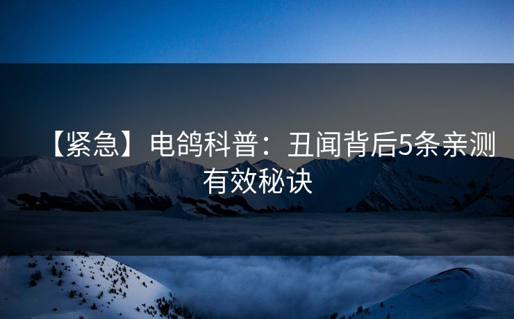 【紧急】电鸽科普：丑闻背后5条亲测有效秘诀
