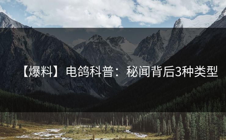 【爆料】电鸽科普：秘闻背后3种类型