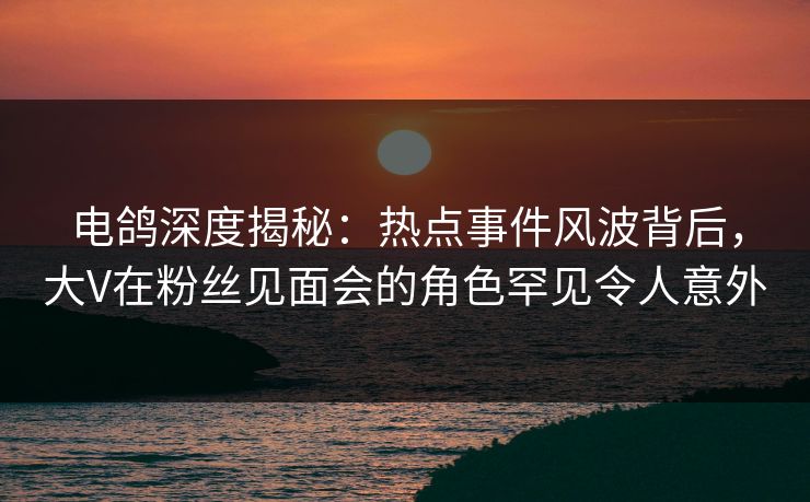 电鸽深度揭秘：热点事件风波背后，大V在粉丝见面会的角色罕见令人意外