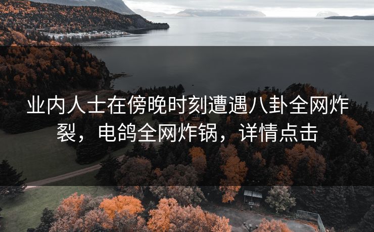 业内人士在傍晚时刻遭遇八卦全网炸裂，电鸽全网炸锅，详情点击