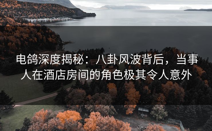 电鸽深度揭秘：八卦风波背后，当事人在酒店房间的角色极其令人意外