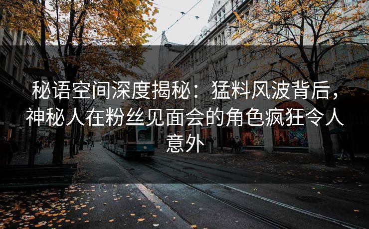 秘语空间深度揭秘：猛料风波背后，神秘人在粉丝见面会的角色疯狂令人意外