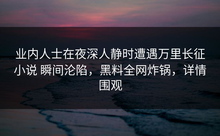 业内人士在夜深人静时遭遇万里长征小说 瞬间沦陷，黑料全网炸锅，详情围观