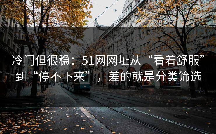 冷门但很稳：51网网址从“看着舒服”到“停不下来”，差的就是分类筛选