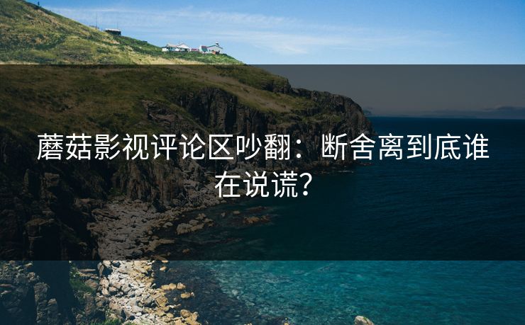 蘑菇影视评论区吵翻：断舍离到底谁在说谎？